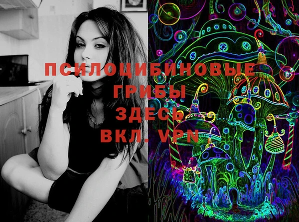 дживик Алексеевка