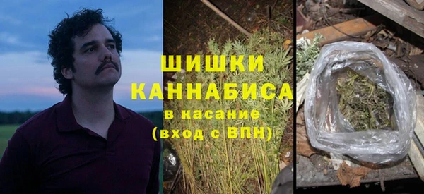 гидра Алексин