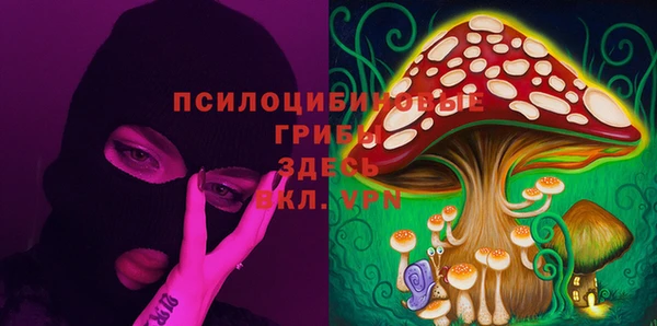 ECSTASY Армянск
